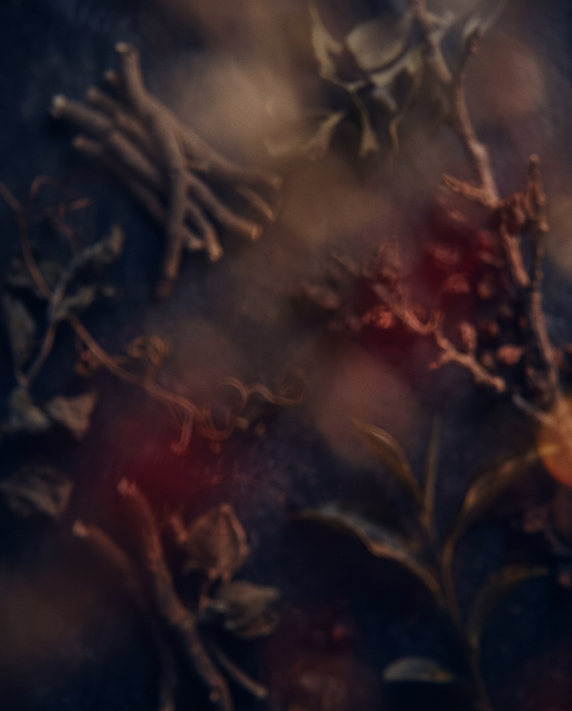 Roots, dried leaves and red berries on deep blue